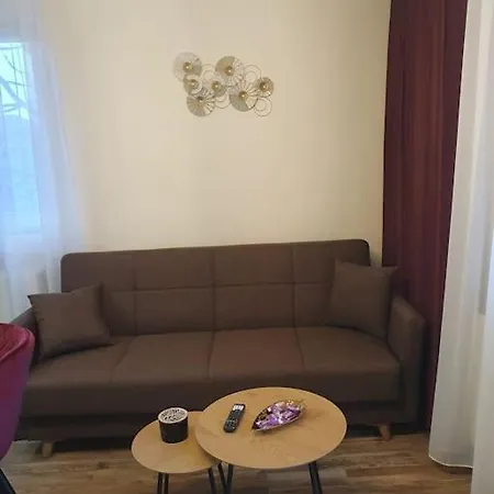 Mirela